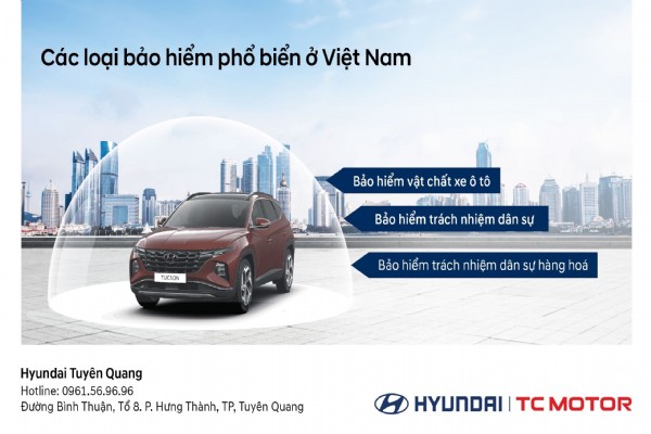 CÁC LOẠI BẢO HIỂM PHỔ BIẾN TẠI VIỆT NAM